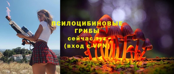 мдпв Покровск