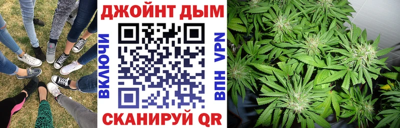Бошки Шишки семена Стародуб